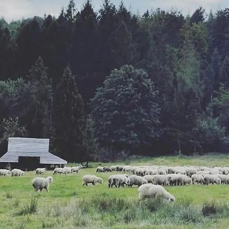 Babia Raj Domek letniskowy *