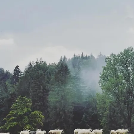 Chatki Osada Babia Raj ザボヤ