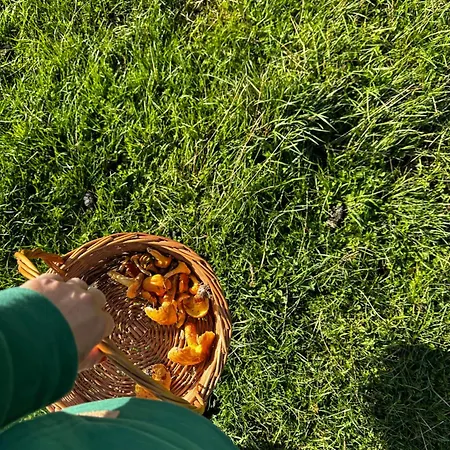 Chatki Osada Babia Raj ロッジ