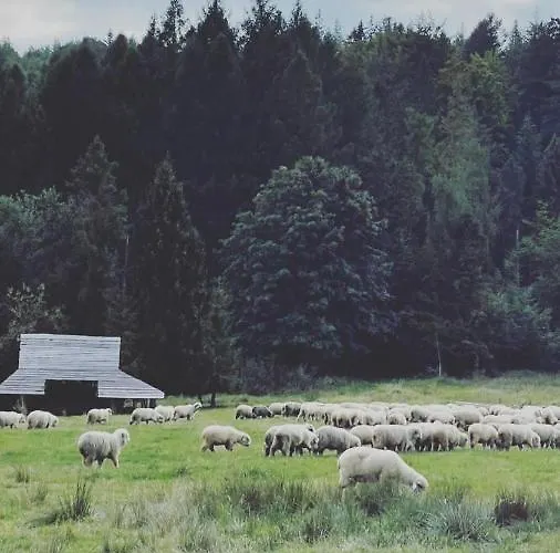 Chatki Osada Babia Raj Lodge *
