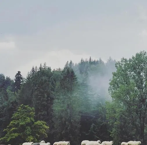 Chatki Osada Babia Raj Zawoja