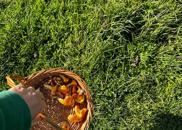 Chatki Osada Babia Raj Lodge